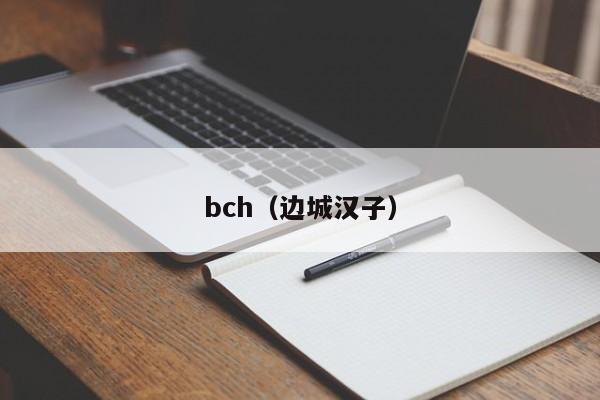 bch(边城汉子)