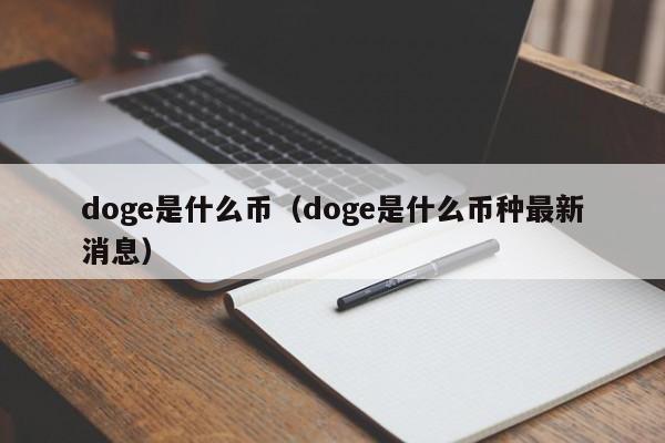 doge是什么币(doge是什么币种最新消息)